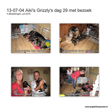 Grizzly's dag 29 met bezoek